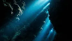 Marinha dos EUA detetou um som estranho no oceano: cientistas suspeitam de quem o emitiu